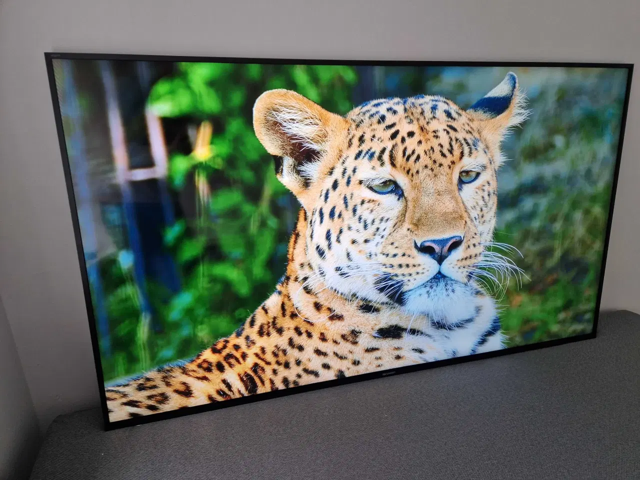 Billede 1 - 70" Sharp SmartTV med HarmanKardon lyd