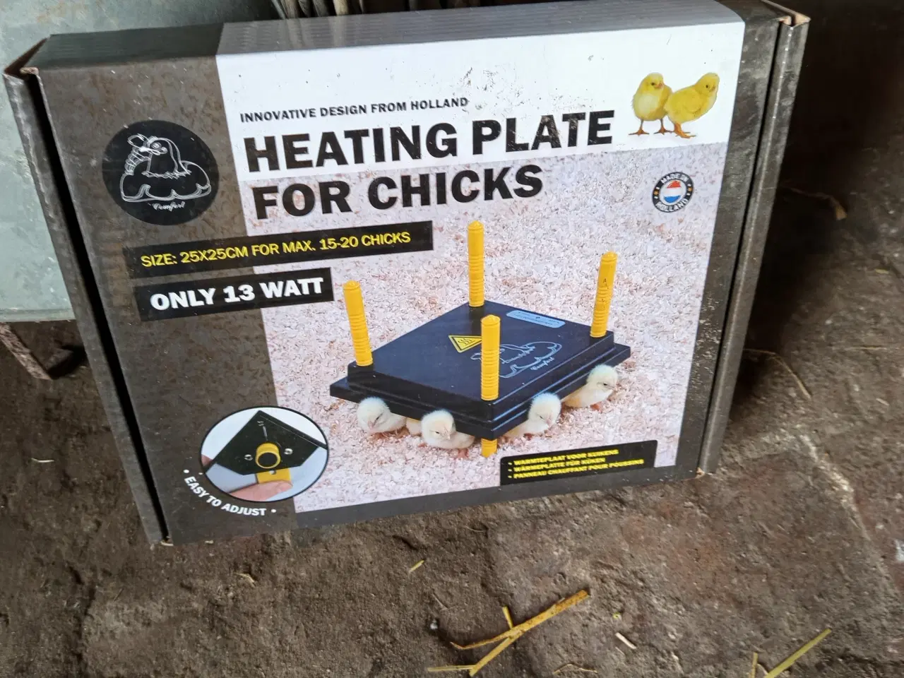 Billede 3 - Udrugning af æg