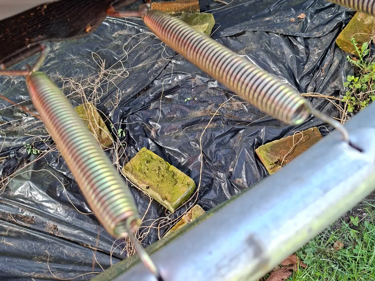 Billede 3 - Trampolin Berg Favorit 430 med spil på hoppedug