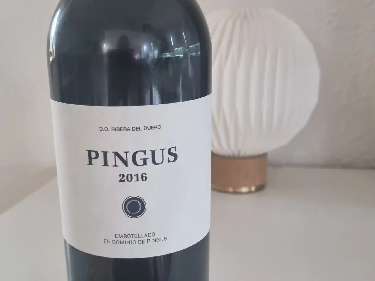 Billede 1 - Pingus 2016