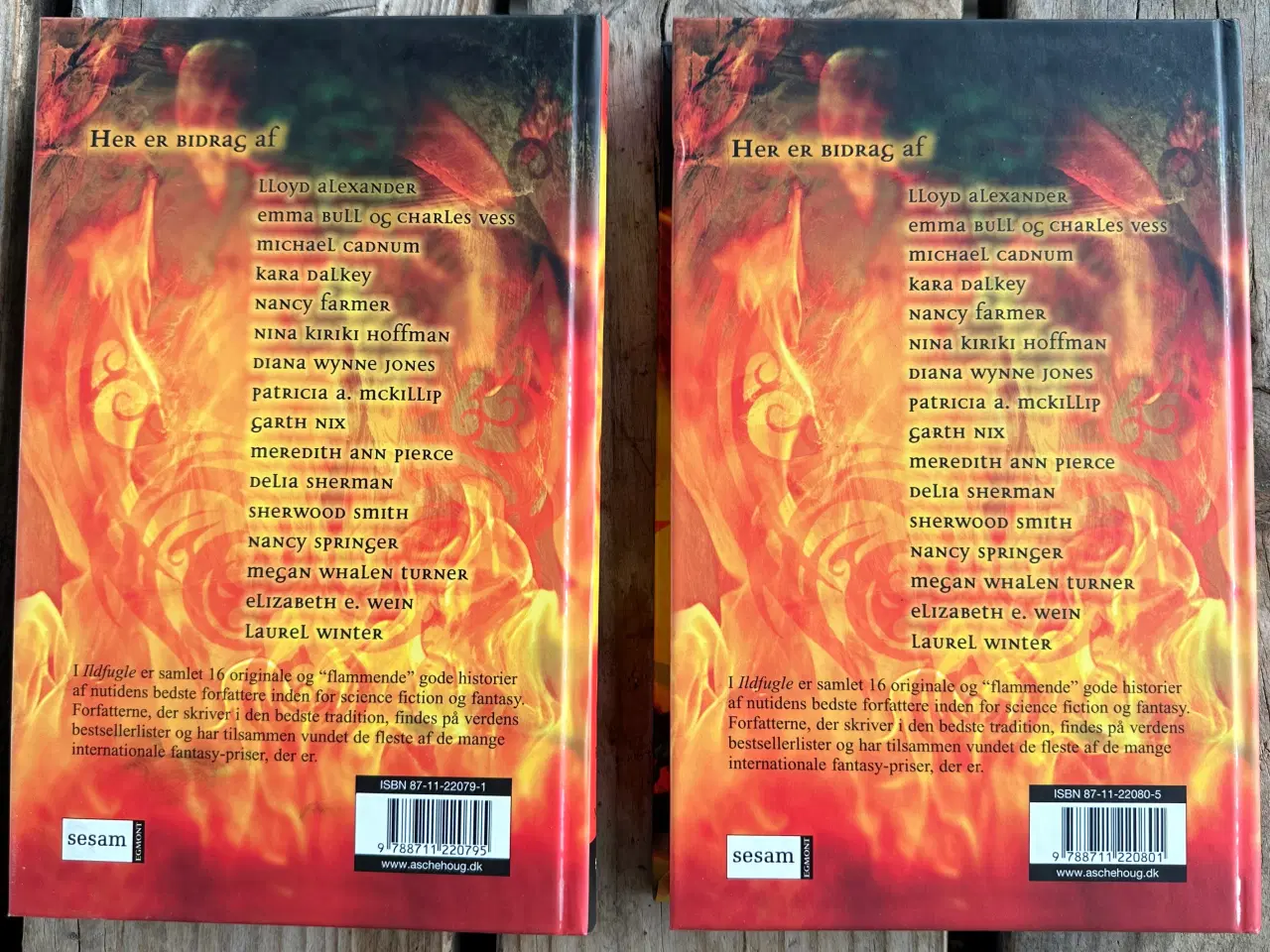 Billede 2 - Isfugle 1+2 – 2 bind  – antologi, noveller fantasy