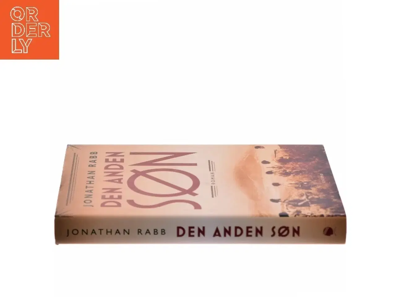 Billede 2 - Den anden søn af Jonathan Rabb (Bog)