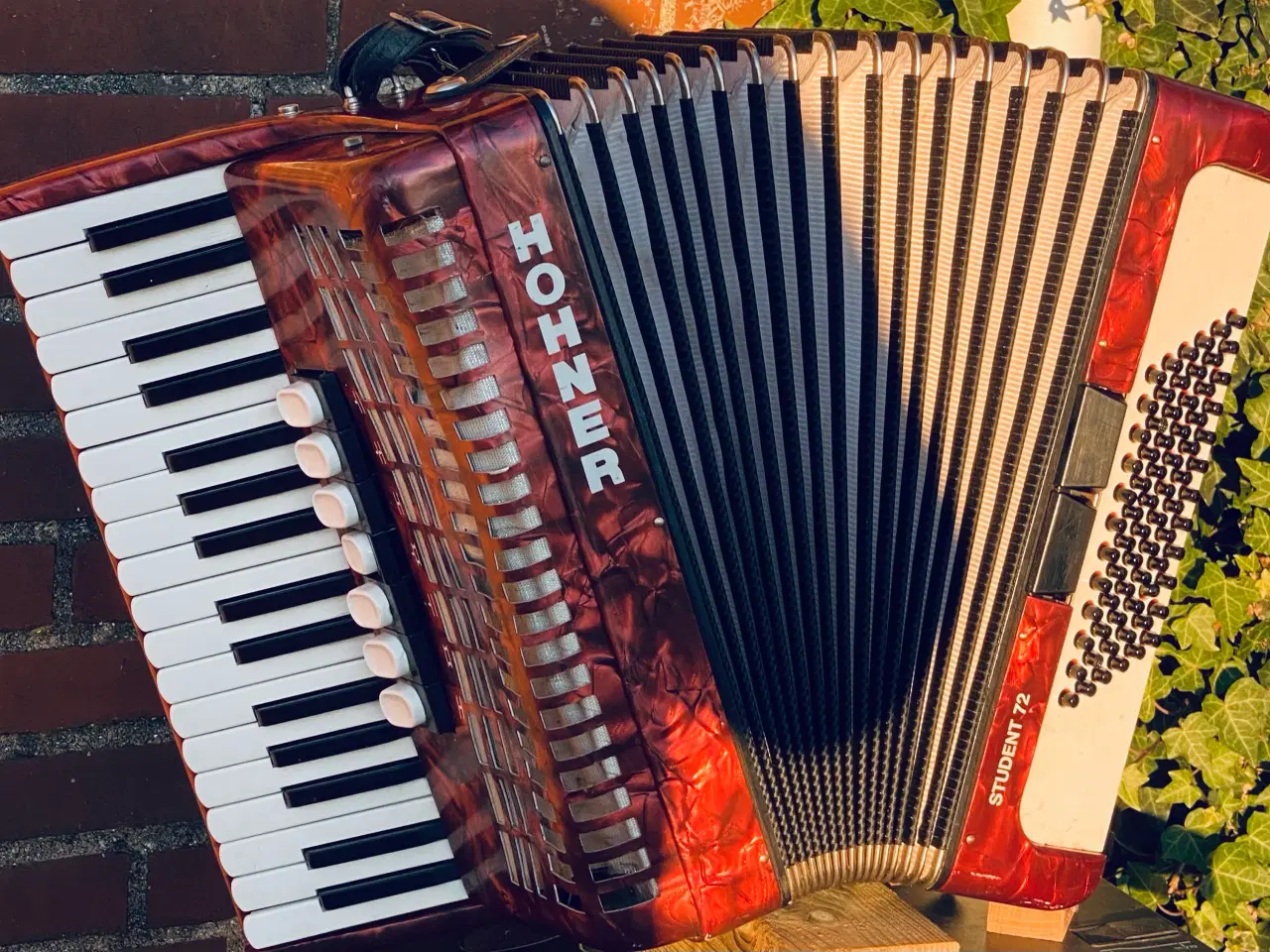 Billede 6 - Hohner Student 72 – solid og velspillende harmonik