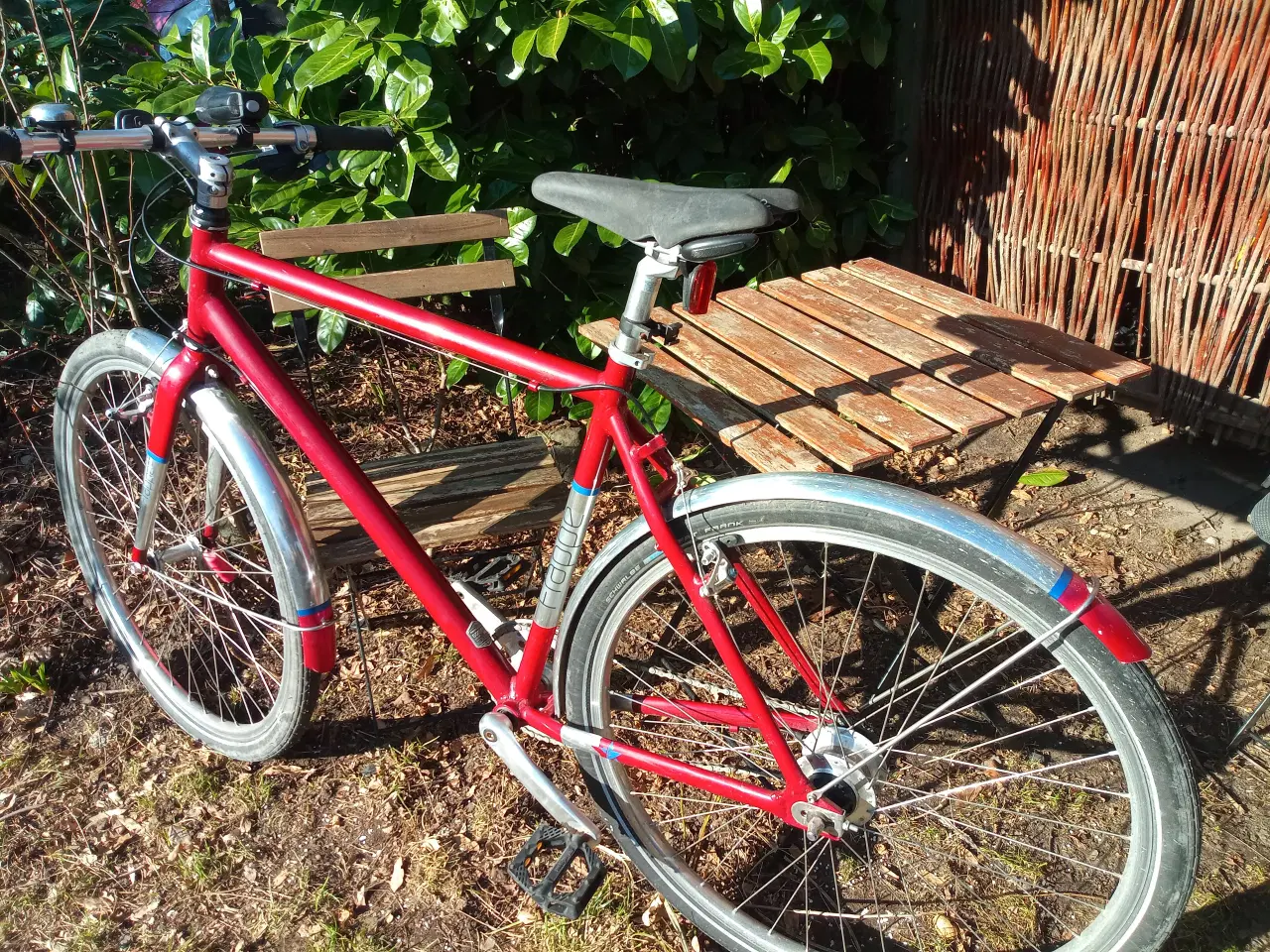 Billede 4 - Frappè herrecykel