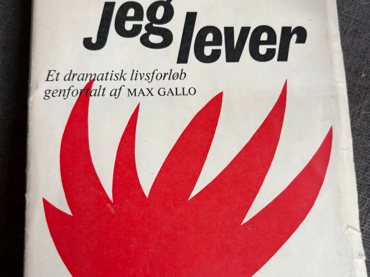 Billede 1 - - men jeg lever