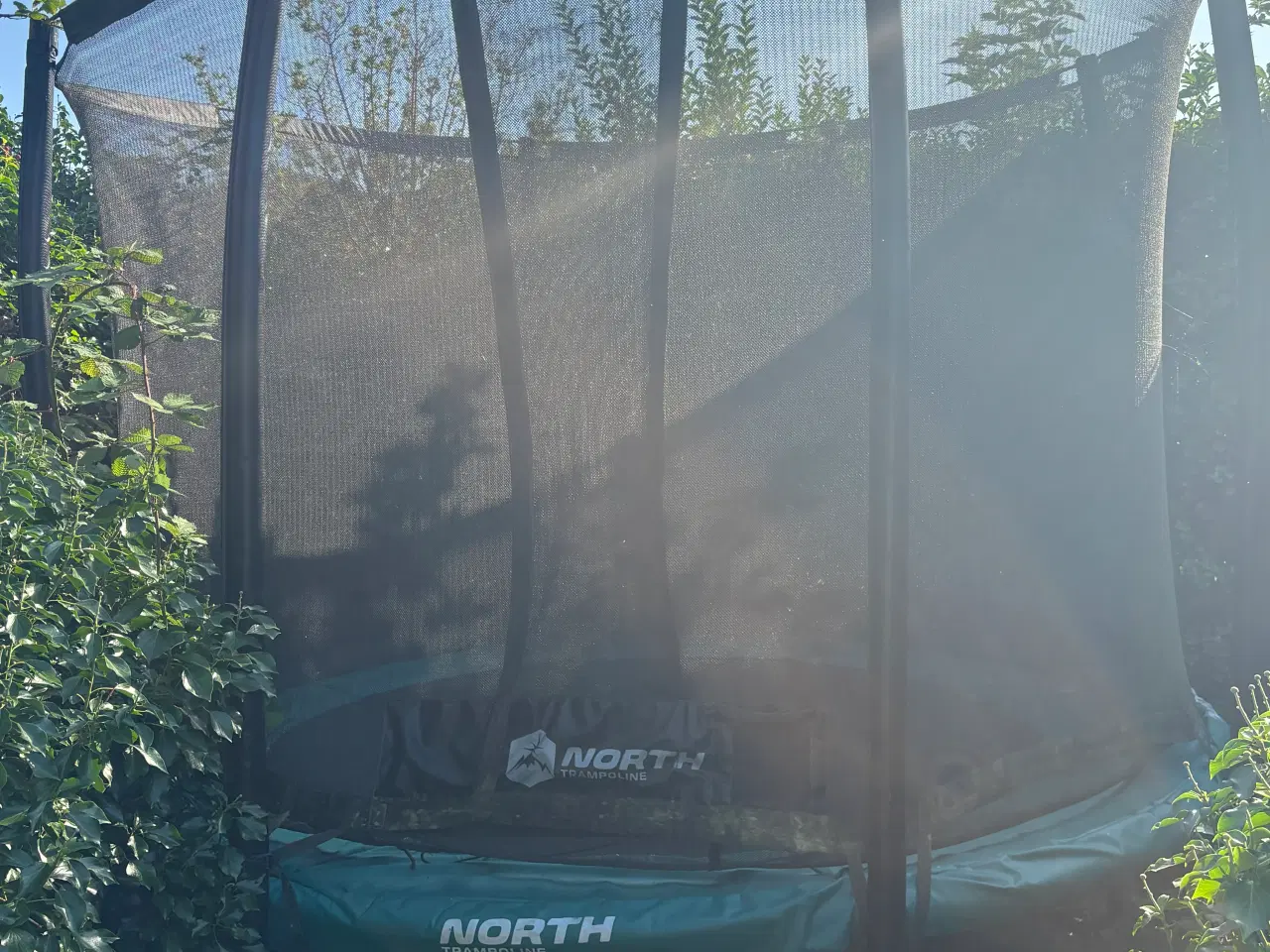 Billede 1 - Gratis trampolin 