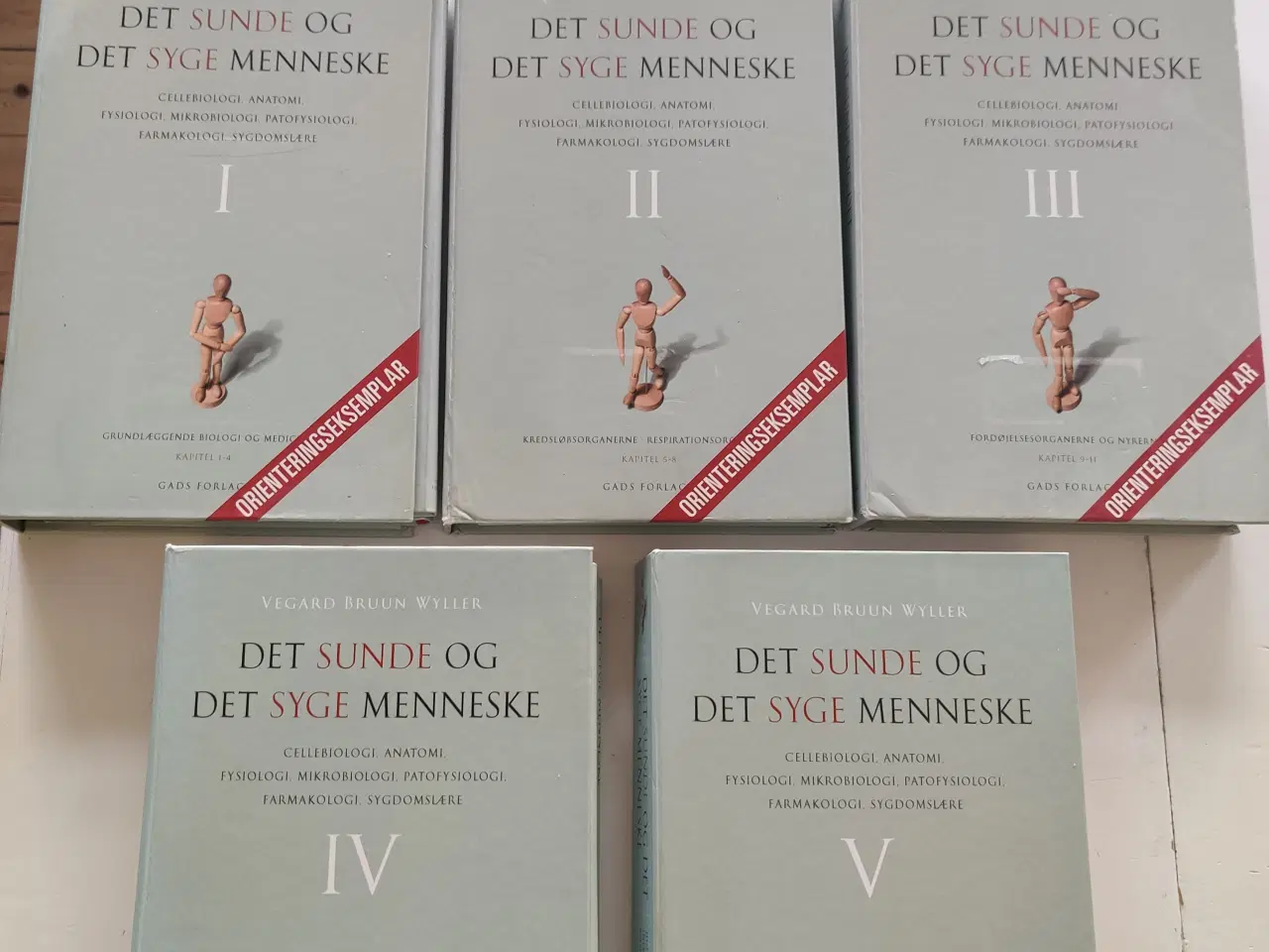 Billede 1 - Det sunde og det syge menneske - 1, 2, 3, 4, 5.