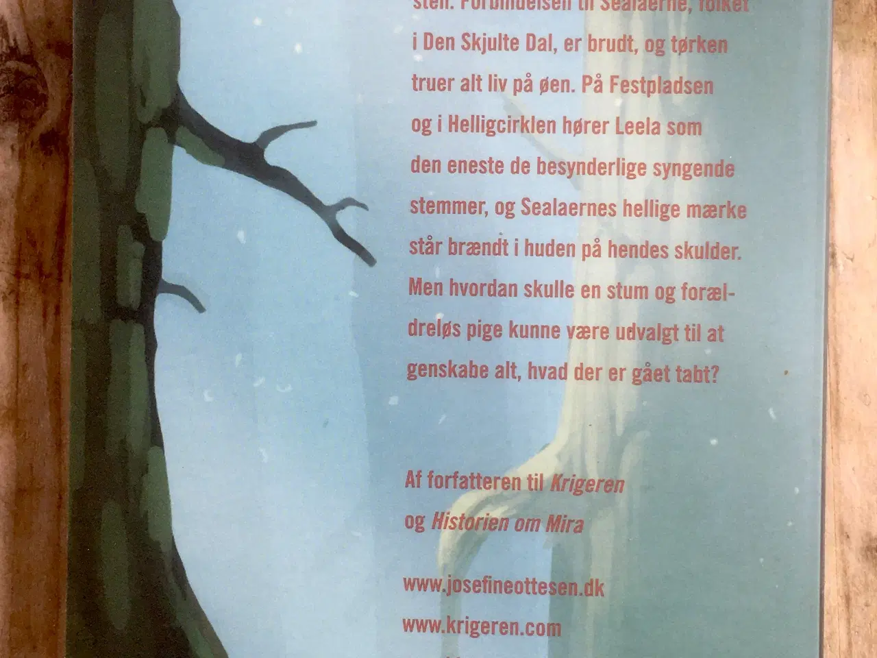 Billede 2 - Regnbuestenen, Josefine Ottesen, genre: fantasy