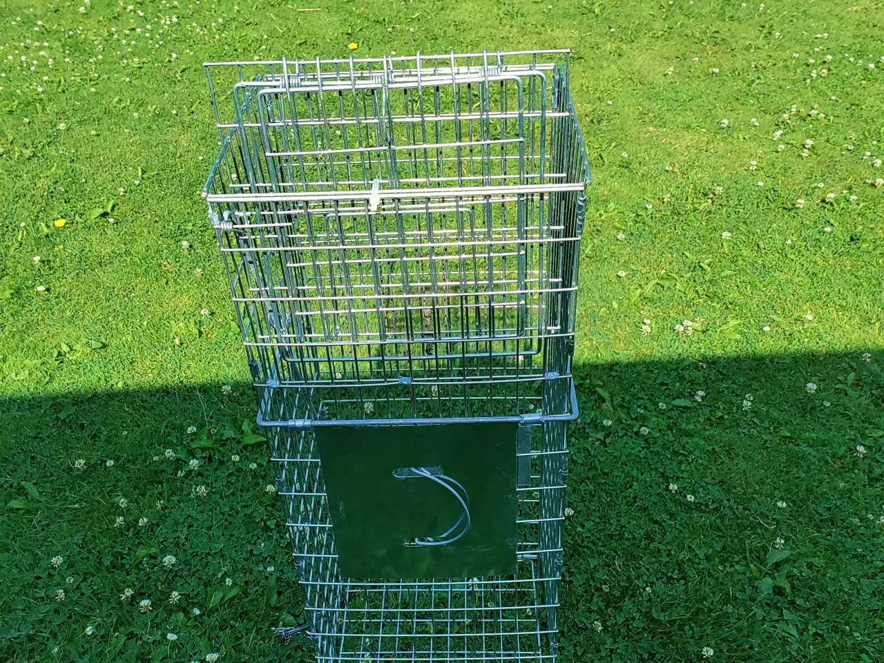 Billede 1 - Mårfælde 