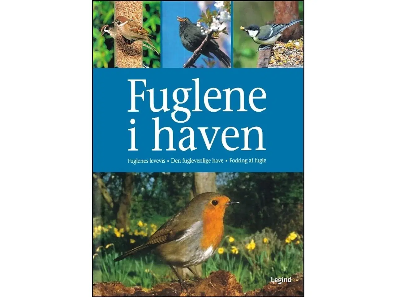 Billede 1 - Fuglene i haven