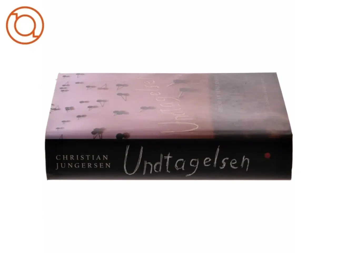 Billede 2 - Undtagelsen : roman af Christian Jungersen (Bog)