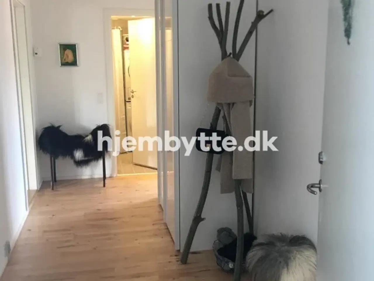 Billede 3 - Hjembytte - Malurthaven