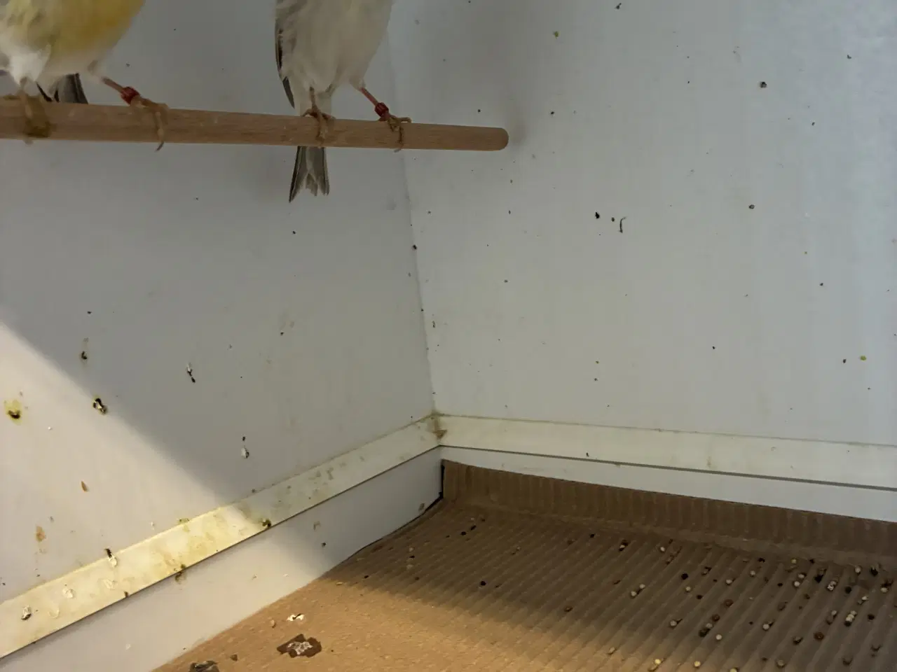 Billede 4 - Agat mosaikker fra 2024