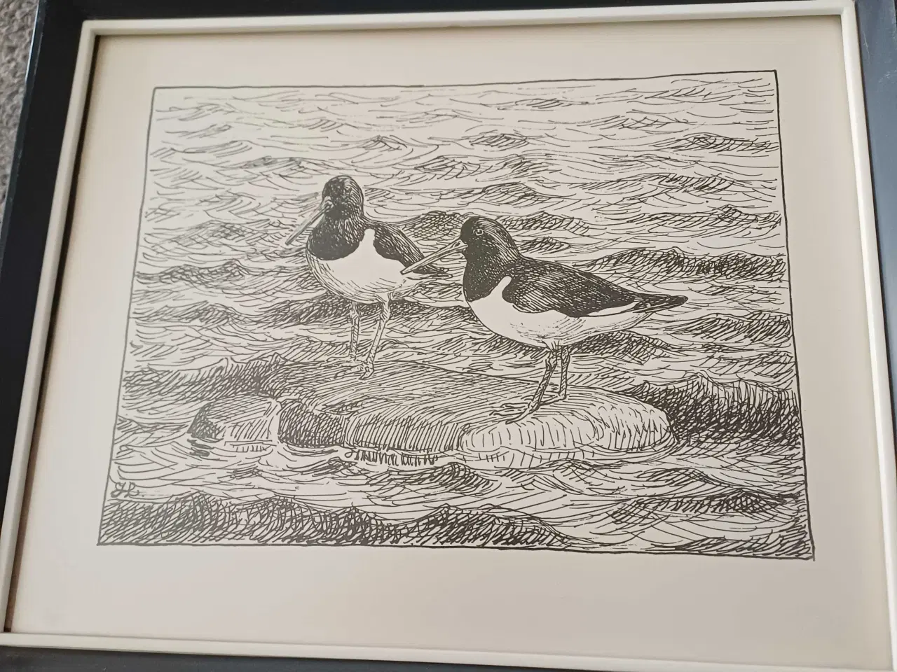 Billede 2 - Søde fugle billeder 