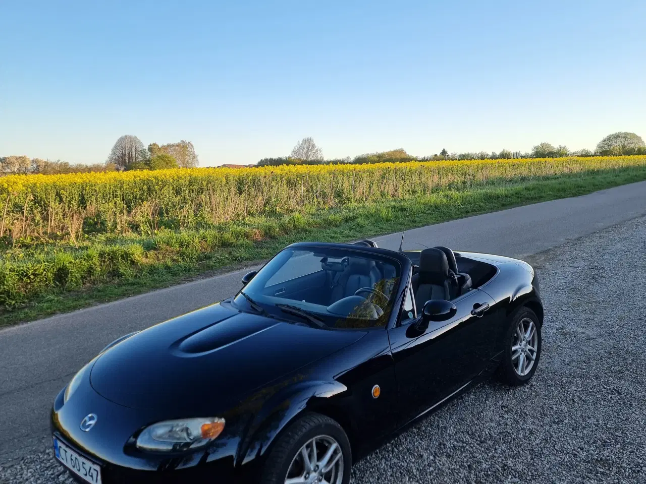 Billede 12 - Mazda MX-5 Roadster 2006