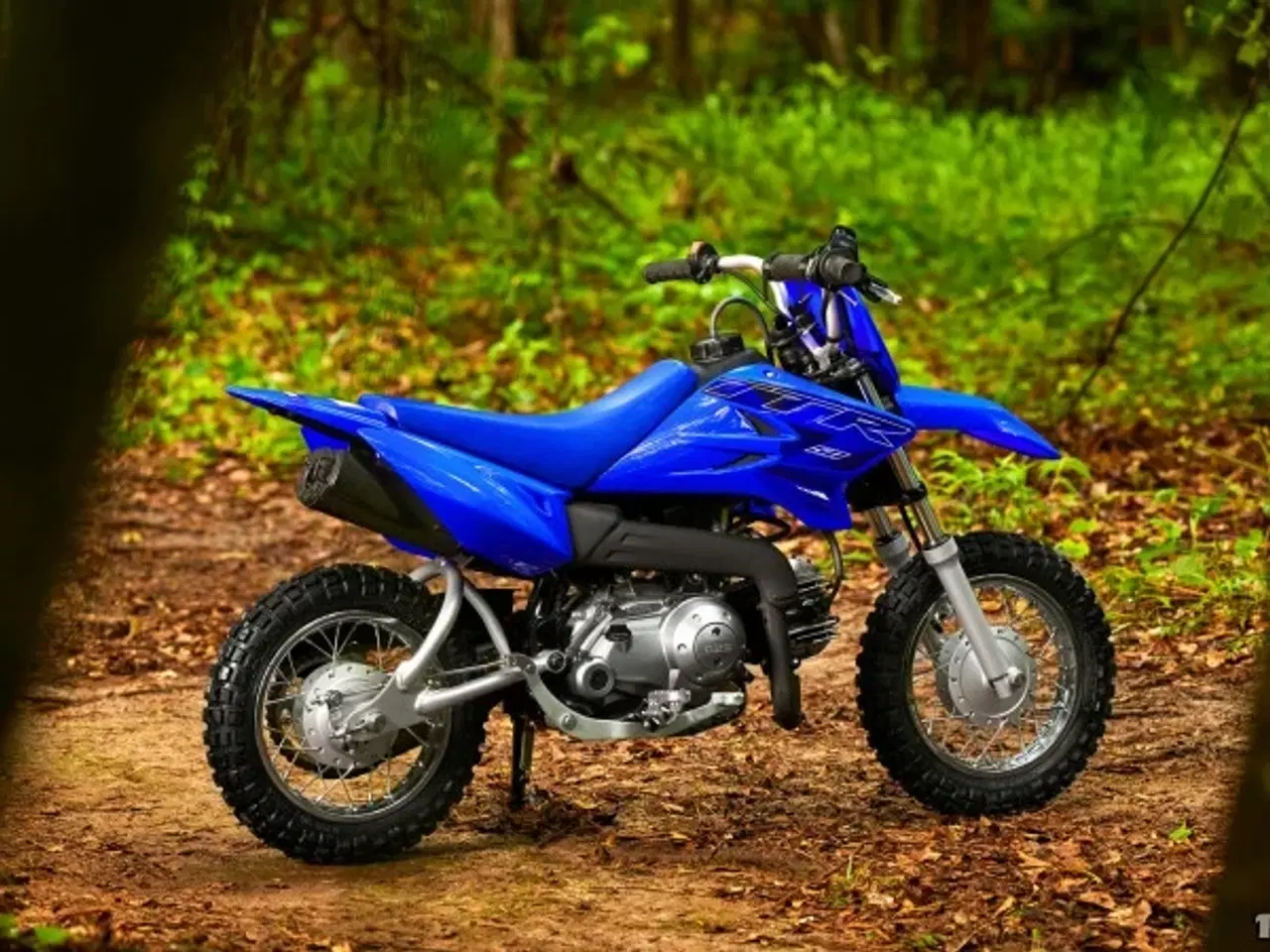 Billede 8 - Yamaha TTR 50