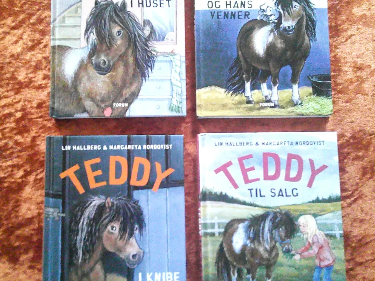 Billede 1 - Teddy,  Lin Hallberg