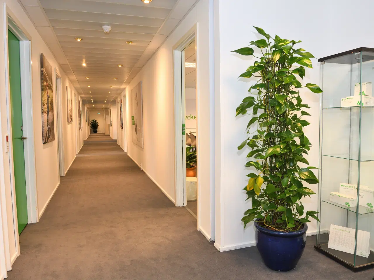 Billede 4 - FLERBRUGEREJENDOM m. kantine. reception og gratis parkering - LEJEMÅL TIL ISTANDSÆTTELSE