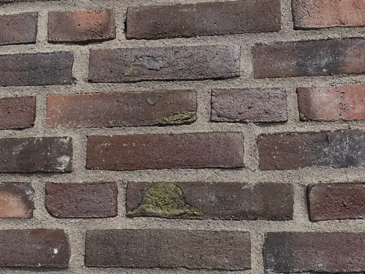 Billede 4 - Tegl Skaller 30 og 50 mm hårdt brændte