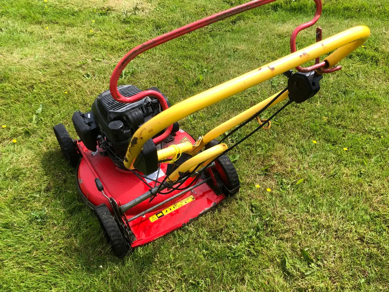 Billede 4 - Klippo Professional, selvkørende 