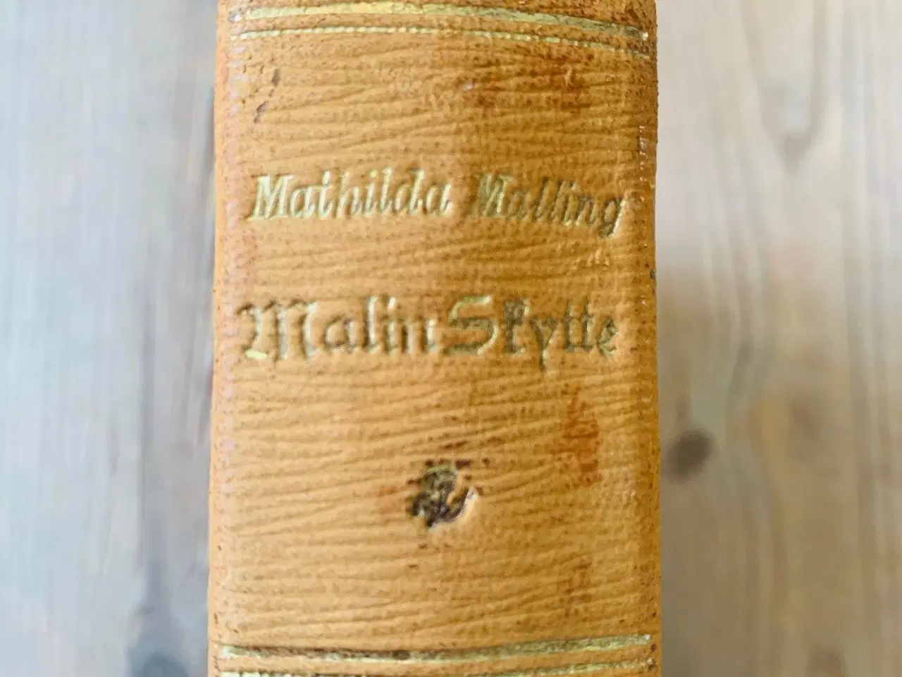 Billede 5 - Malin Skytte (1901) af Mathilda Malling