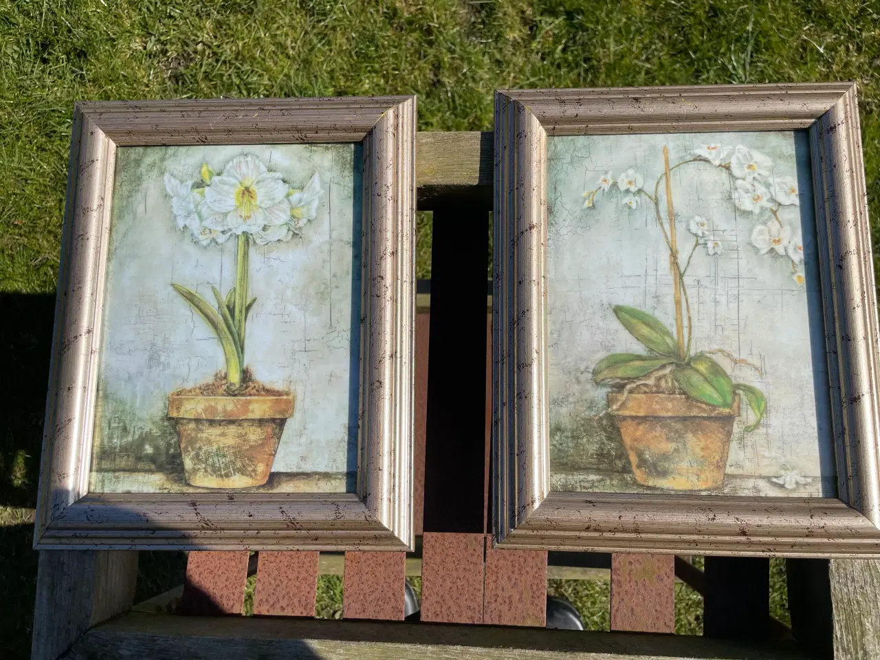 Billede 1 - Billeder med blomstermotiv