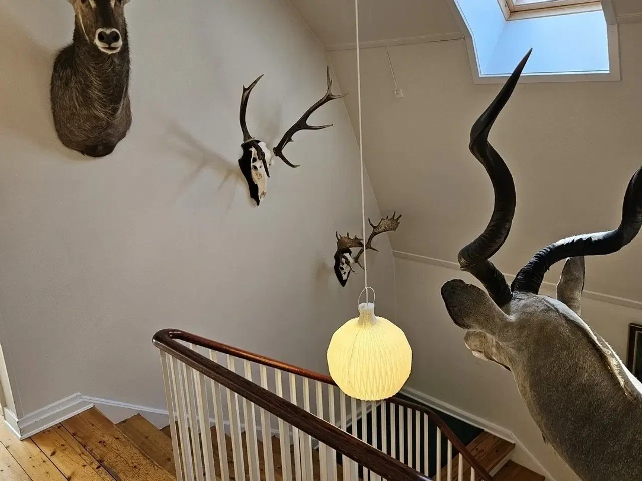 Billede 3 - Centralt beliggende kontorlokale på Store Torv 2