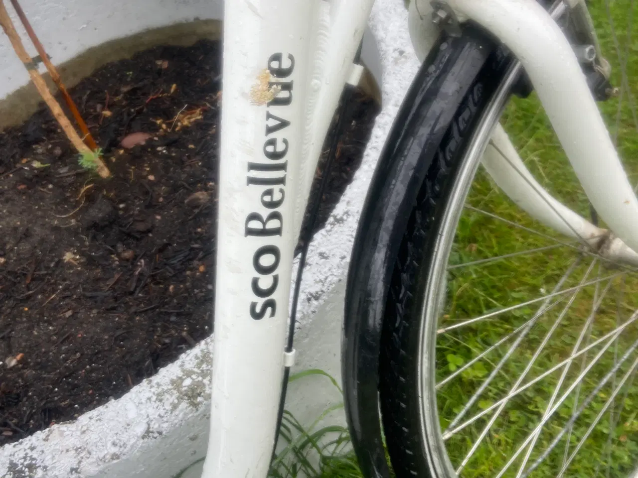 Billede 2 - SCO Bellevue damecykel 