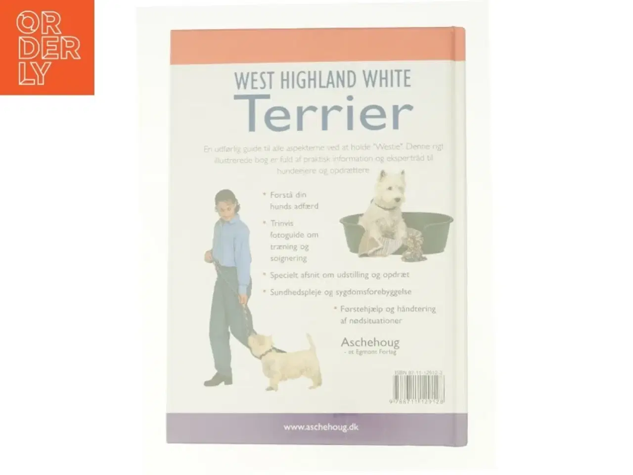 Billede 2 - West hightland white terrier (bog)