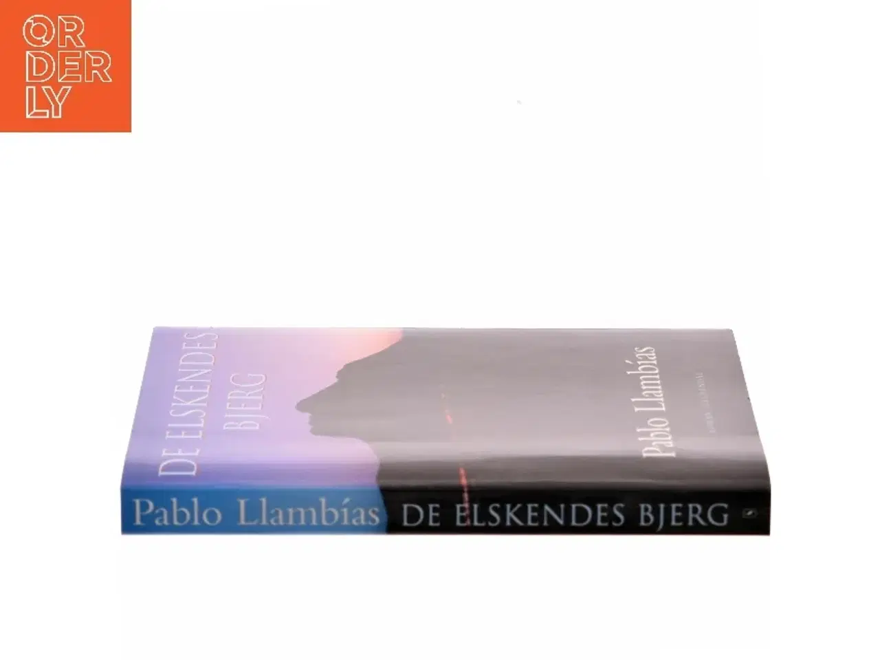 Billede 2 - De Elskendes Bjerg af Pablo Llambías (Bog)