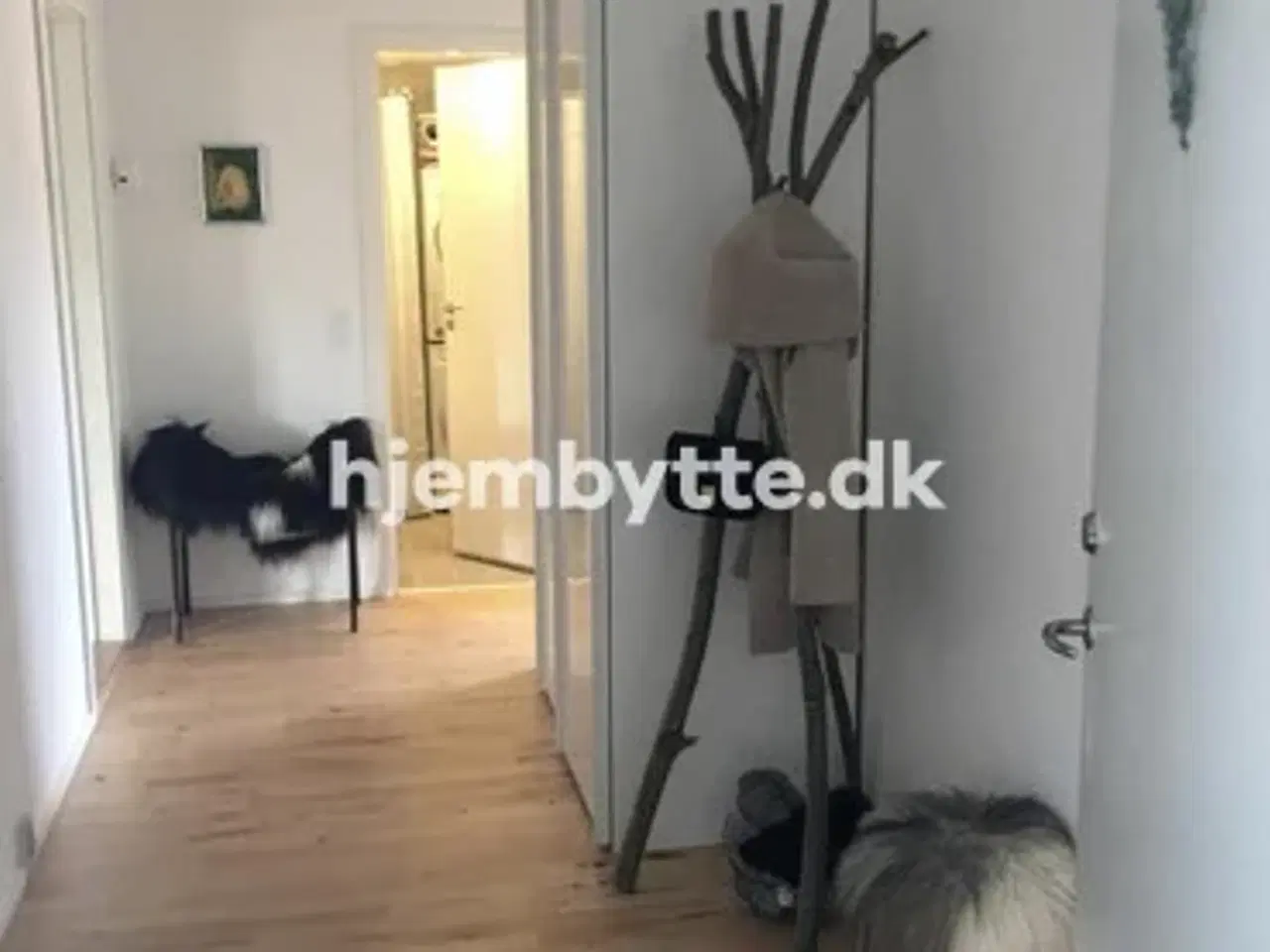 Billede 2 - Hjembytte - Malurthaven