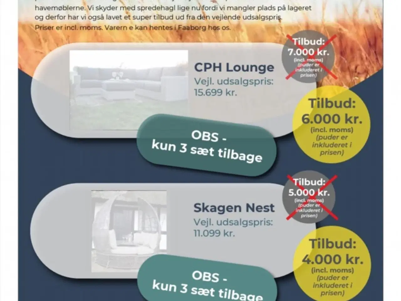 Billede 1 - Havemøbler sælges 