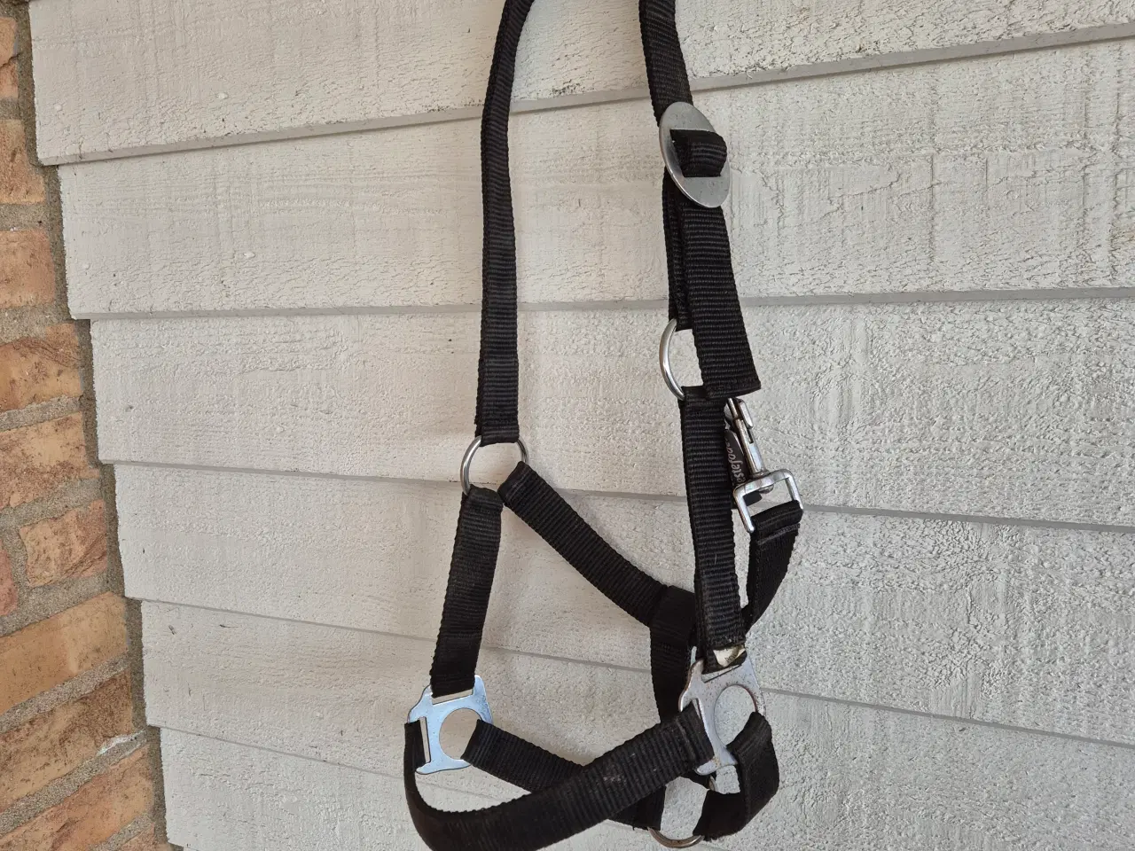 Billede 3 - Ponysele - shetl.