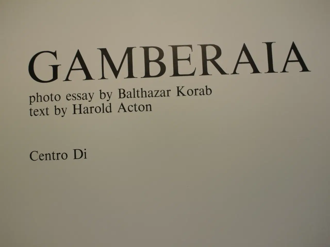 Billede 2 - gamberaia photo essay by balthazar korab