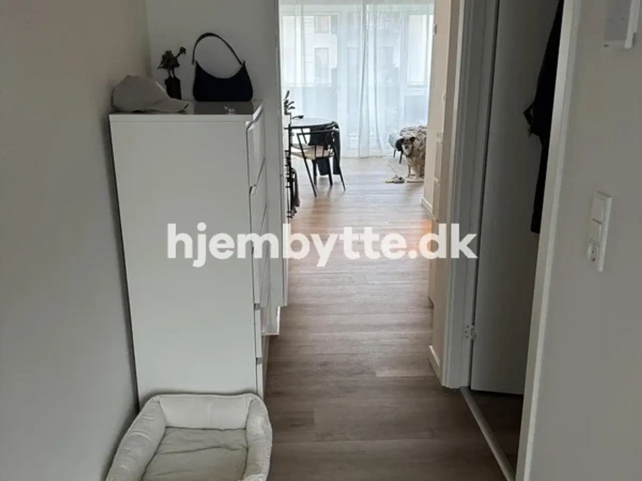 Billede 9 - Hjembytte - Torvestrædet