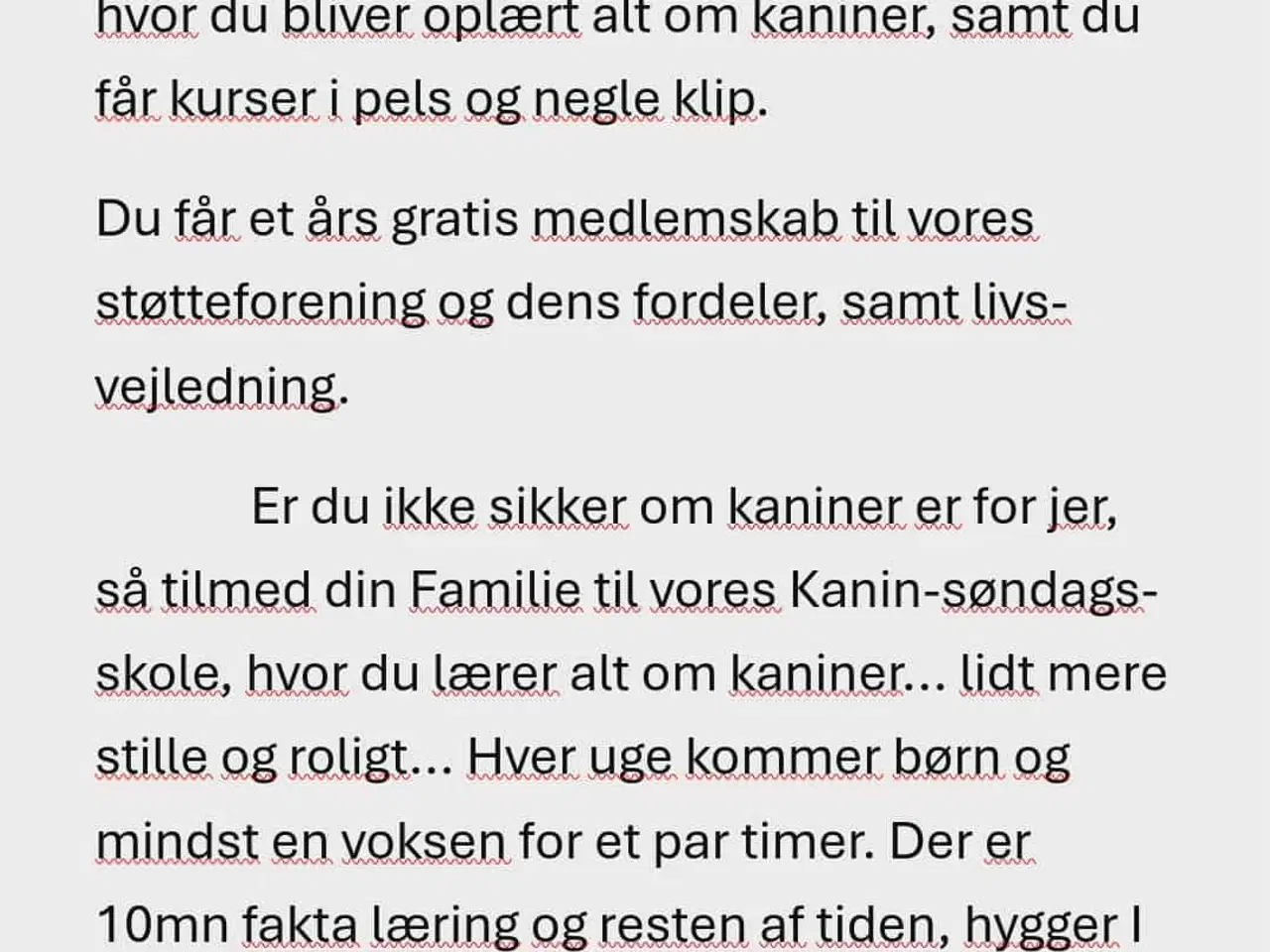 Billede 2 - Ren Racet Teddy (dværg angora kanin) dreng