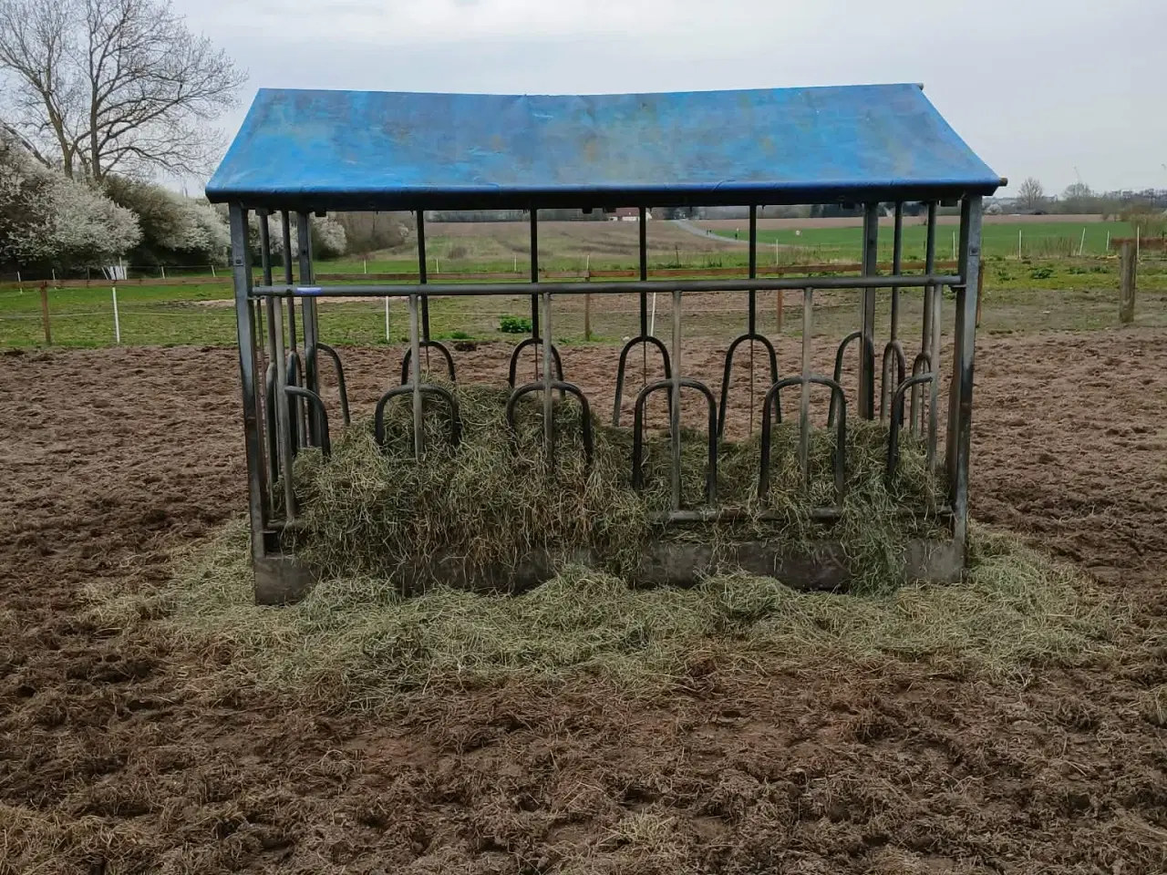 Billede 1 - Hø-bur velegnet til heste