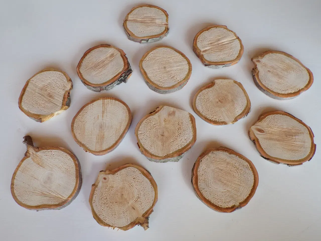 Billede 1 - NYE Thuja Træskiver med bark 11-11,5 cm 