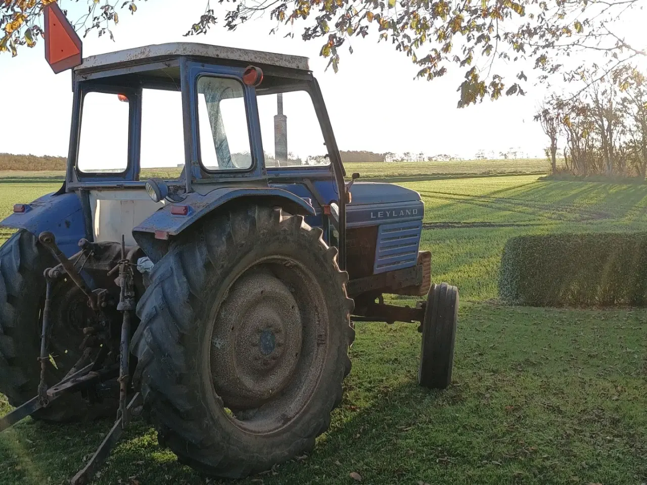 Billede 3 - Leyland 384