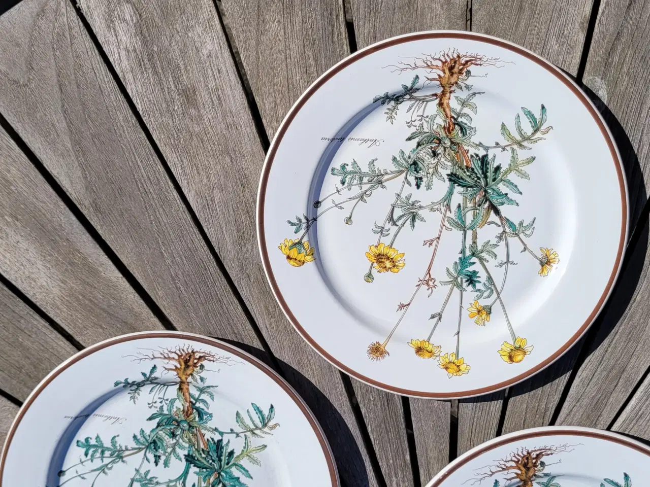 Billede 2 - Villeroy&Boch Botanica middagstallerkener