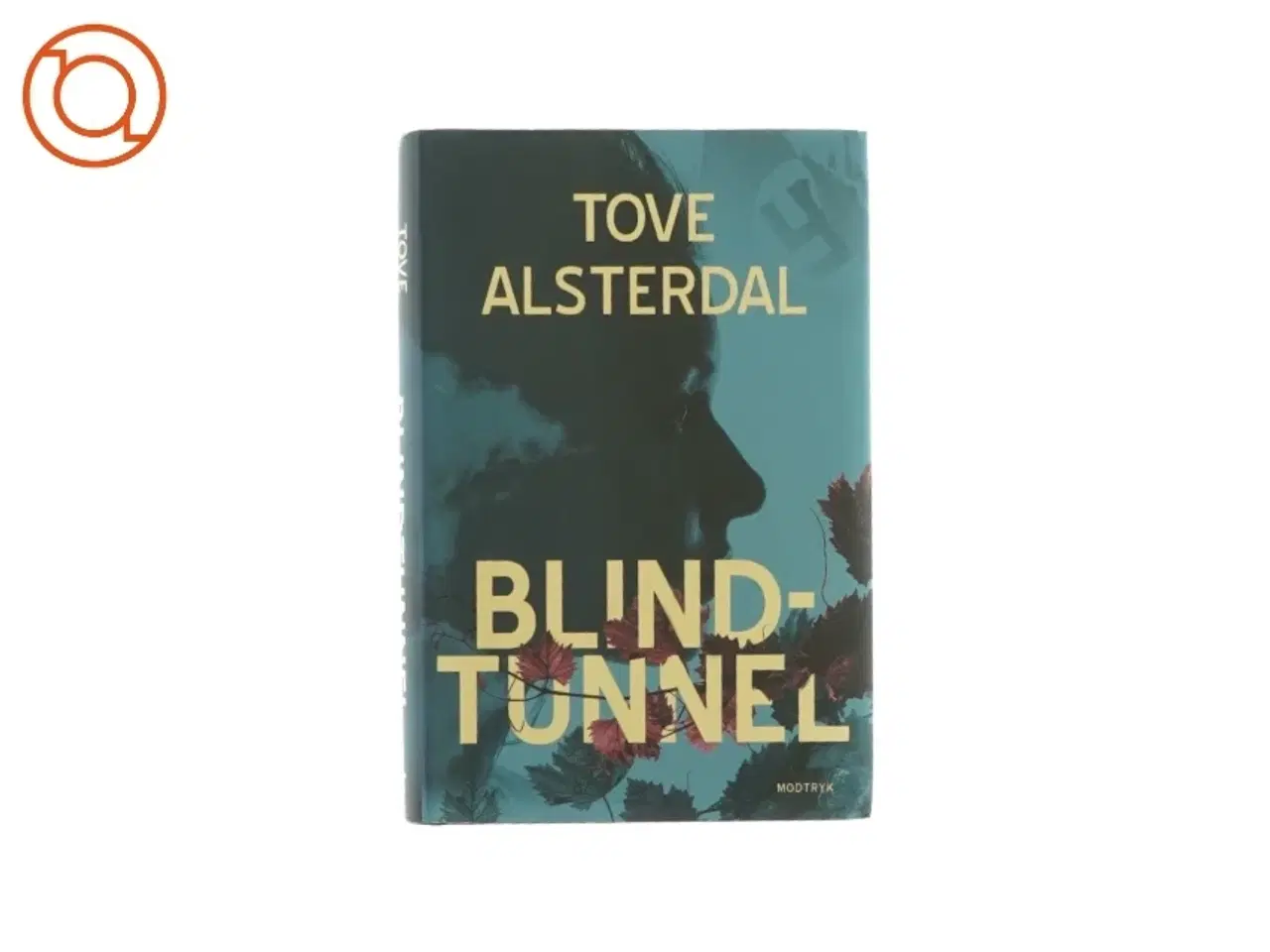Billede 1 - Blind-tunnel af Tove Alsterdal (bog)