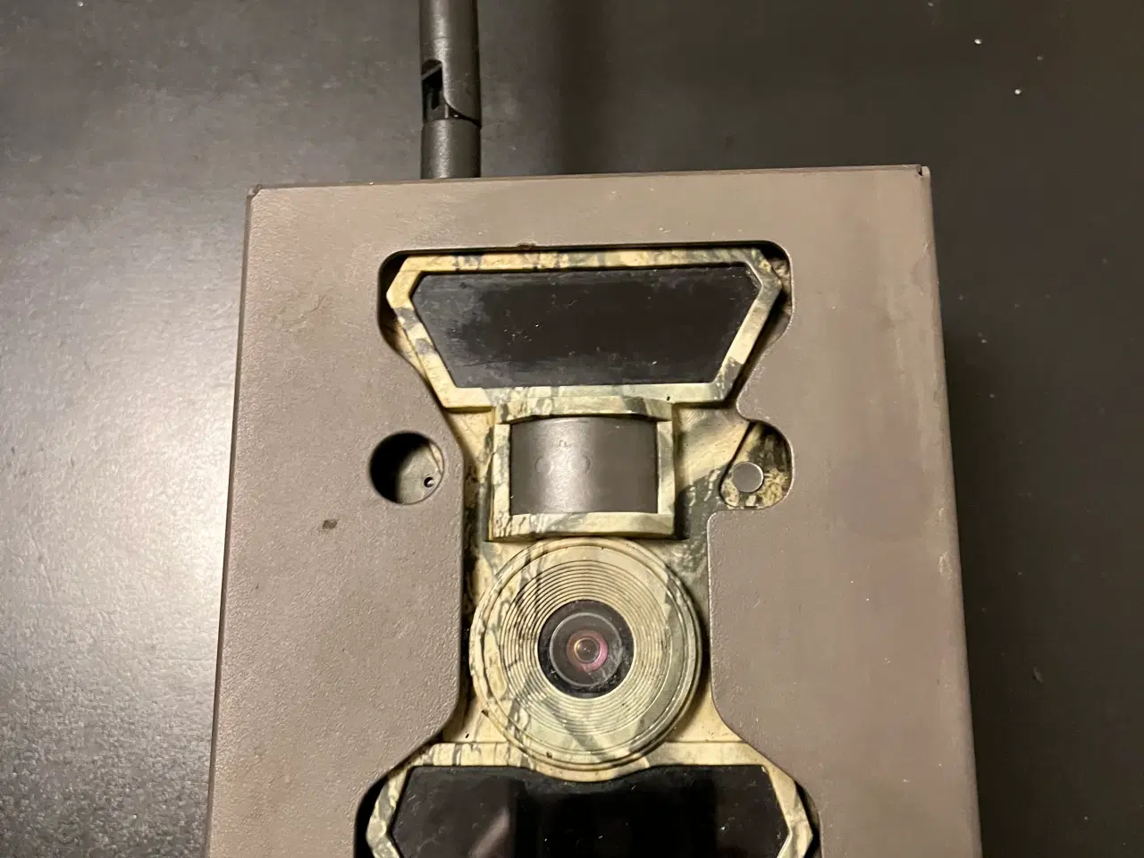 Billede 4 - Vildtfoderautomat & kamera