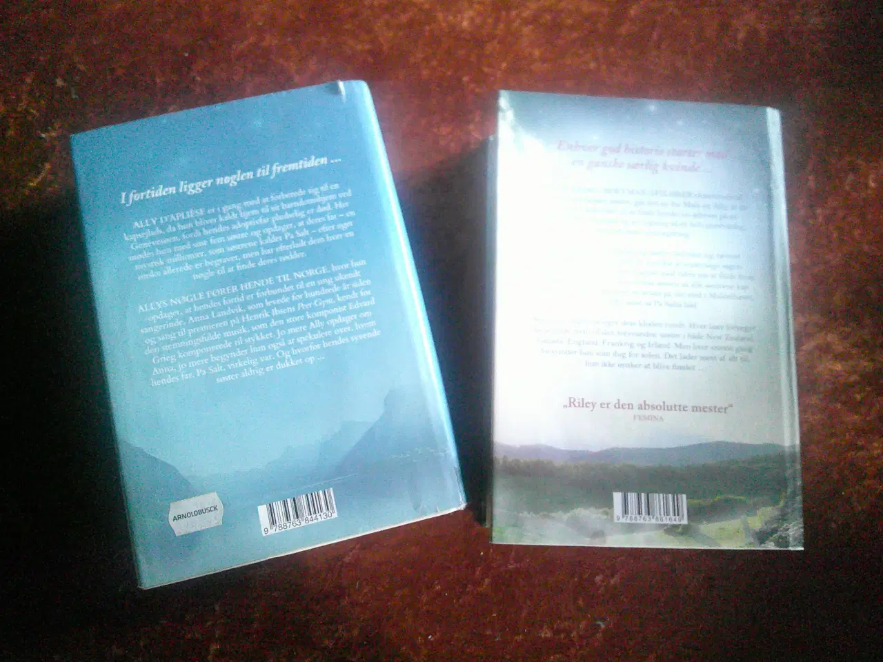 Billede 3 - Den forsvundne søster m.fl., Lucinda Riley