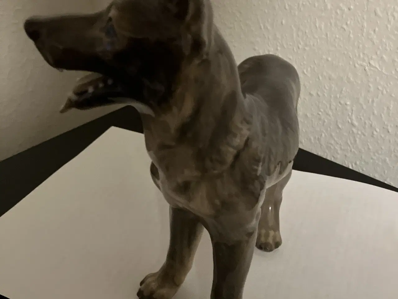 Billede 3 - Flot hund