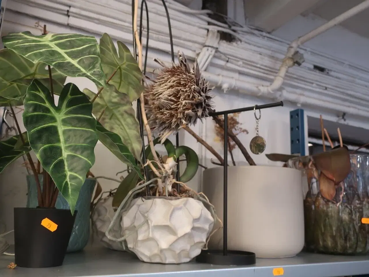 Billede 1 - Blandet Lot: Kunstige planter, Krukker & Potter