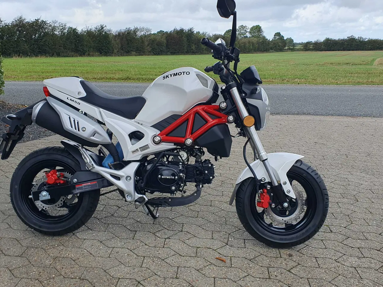 Billede 4 - Dax fra Skyteam