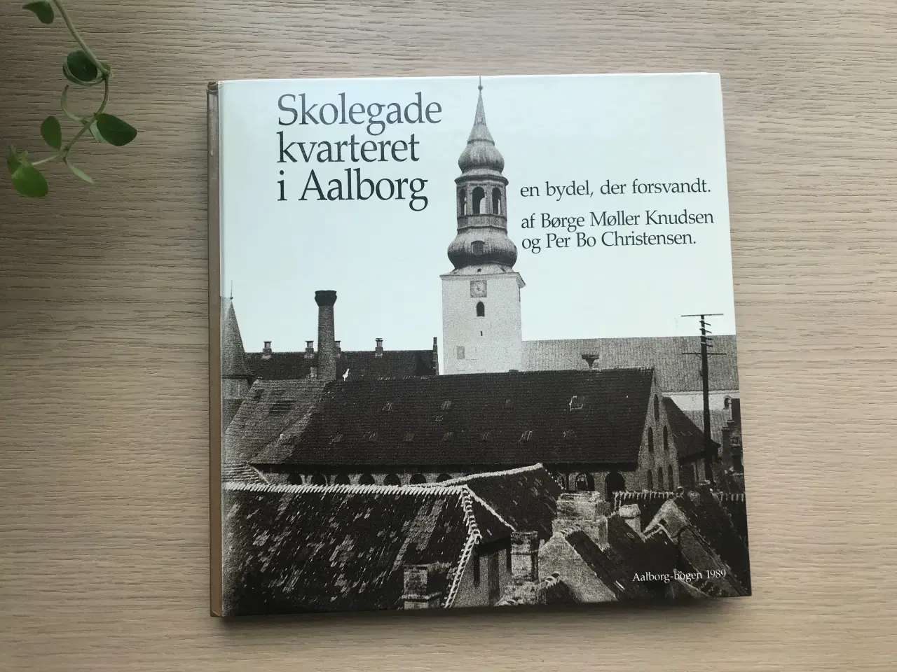 Billede 1 - Skolegade kvarteret i Aalborg   Aalborg-bogen 1989