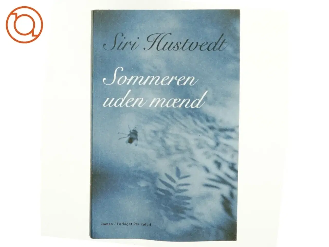 Billede 1 - Sommeren uden mænd : roman af Siri Hustvedt (Bog)