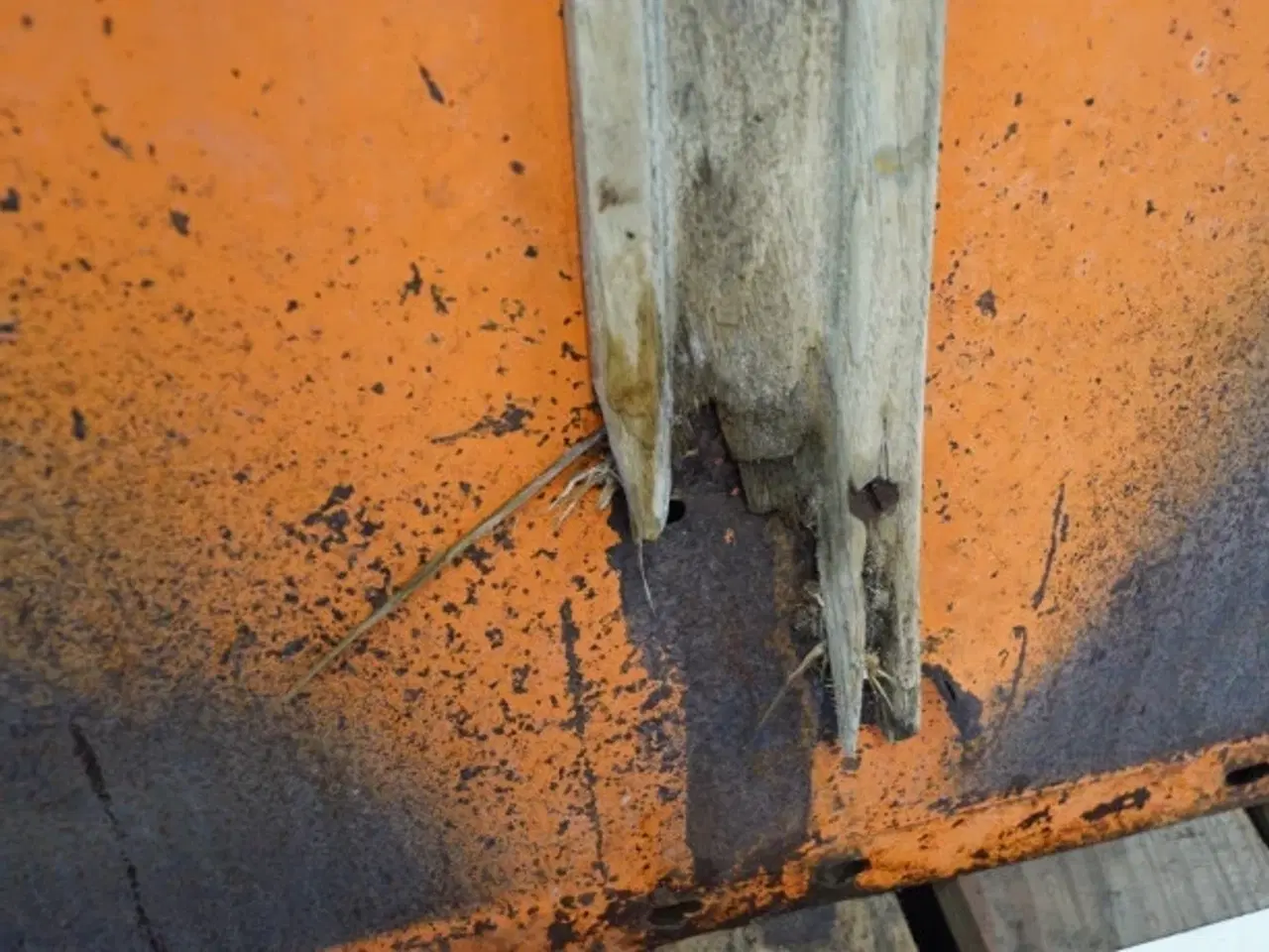 Billede 4 - Dronningborg D7000 Plade 28230084