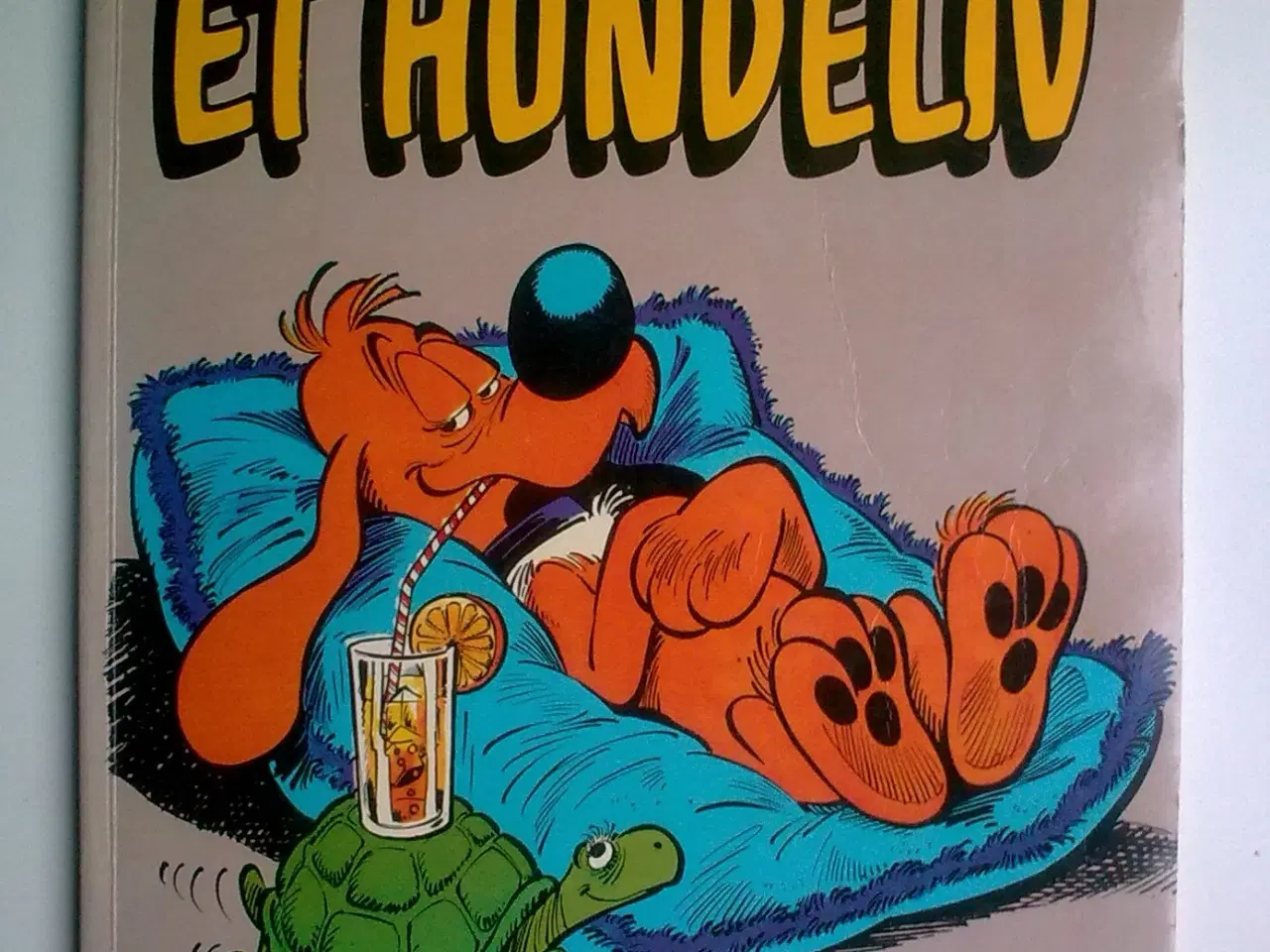 Billede 11 - Hundeskål i eller vagthund ved siden & hund TEMA